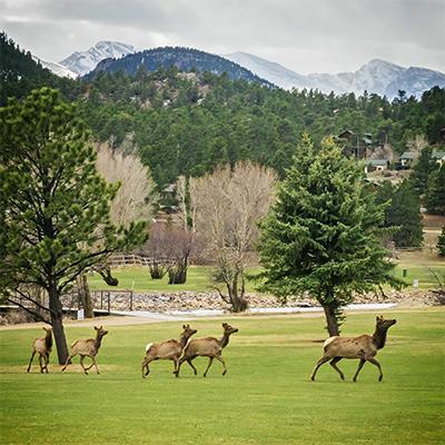 9-Hole Golf Course Elk
