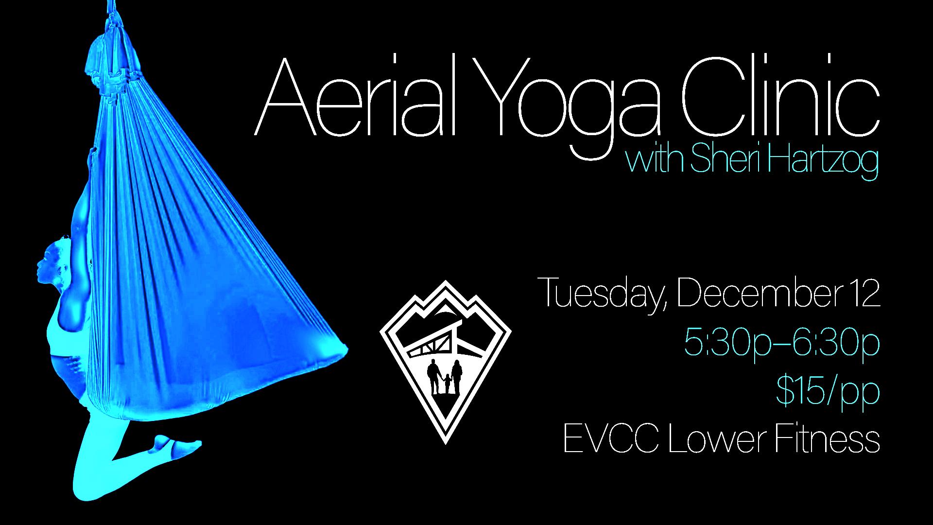 Aerial Yoga Clinic with Sheri Hartzog